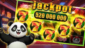 Live casino and sports betting interface